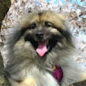 Meet your Posher, Nora